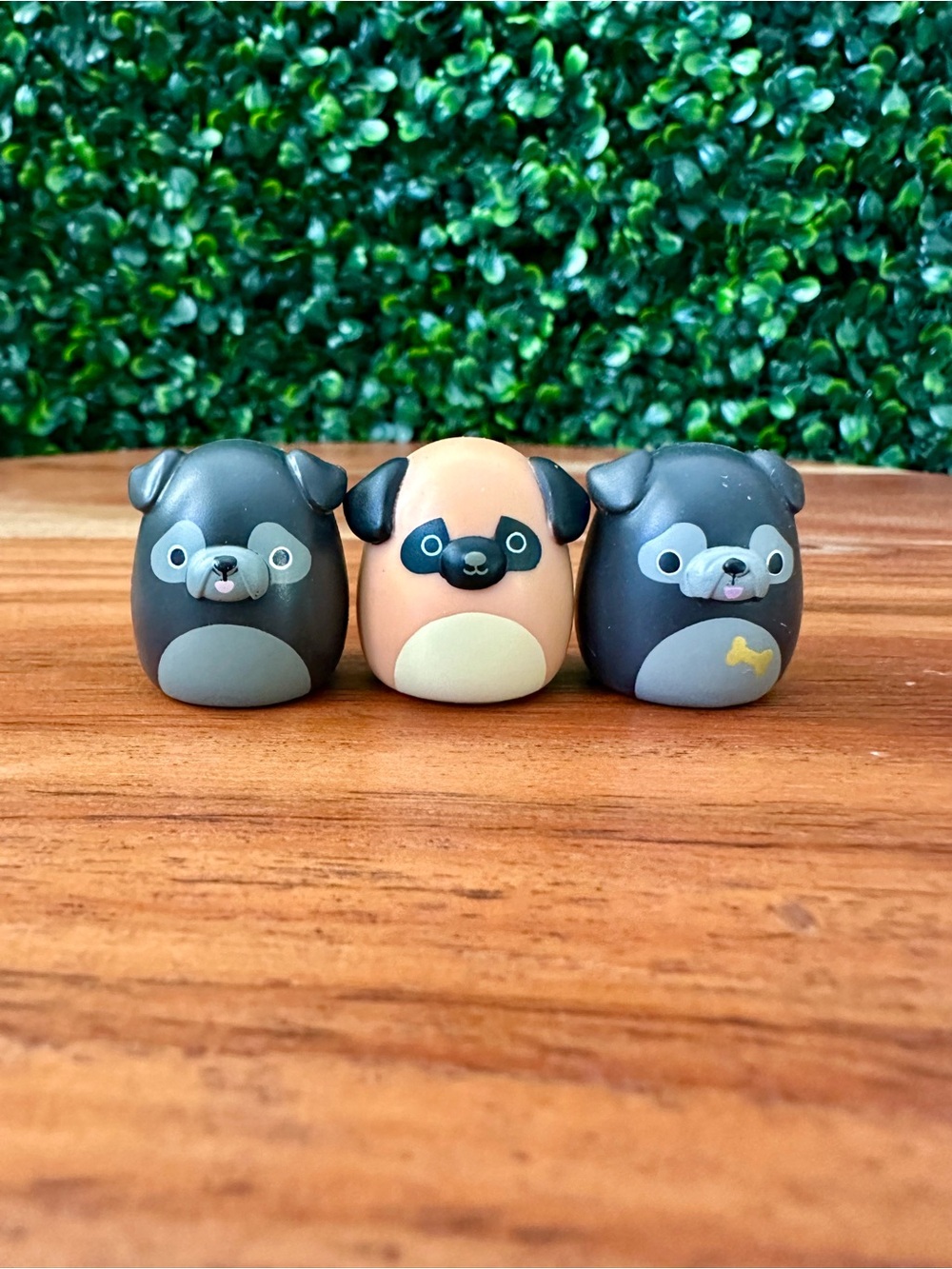 Squish-a-longs by Squishmallows Pug Bundle